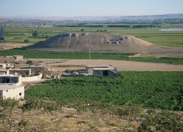 Widok ogólny Tell Amarna w 2000 roku, od strony południowej (T. Waliszewski)